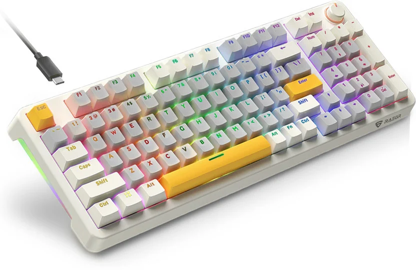 RAEGR MechGear X100 Mechanical Gaming Keyboard, 98 Keys...