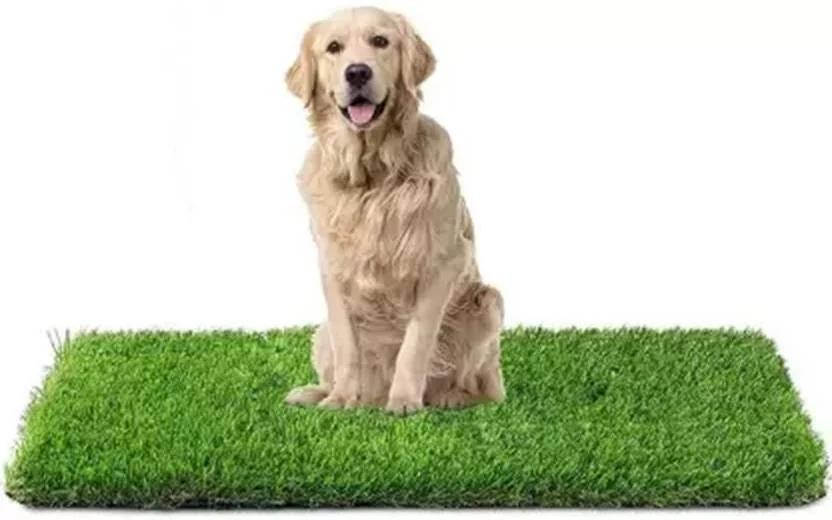 CHETANYA LOOMTEX Polyester Floor Mat  (Green, Medium)