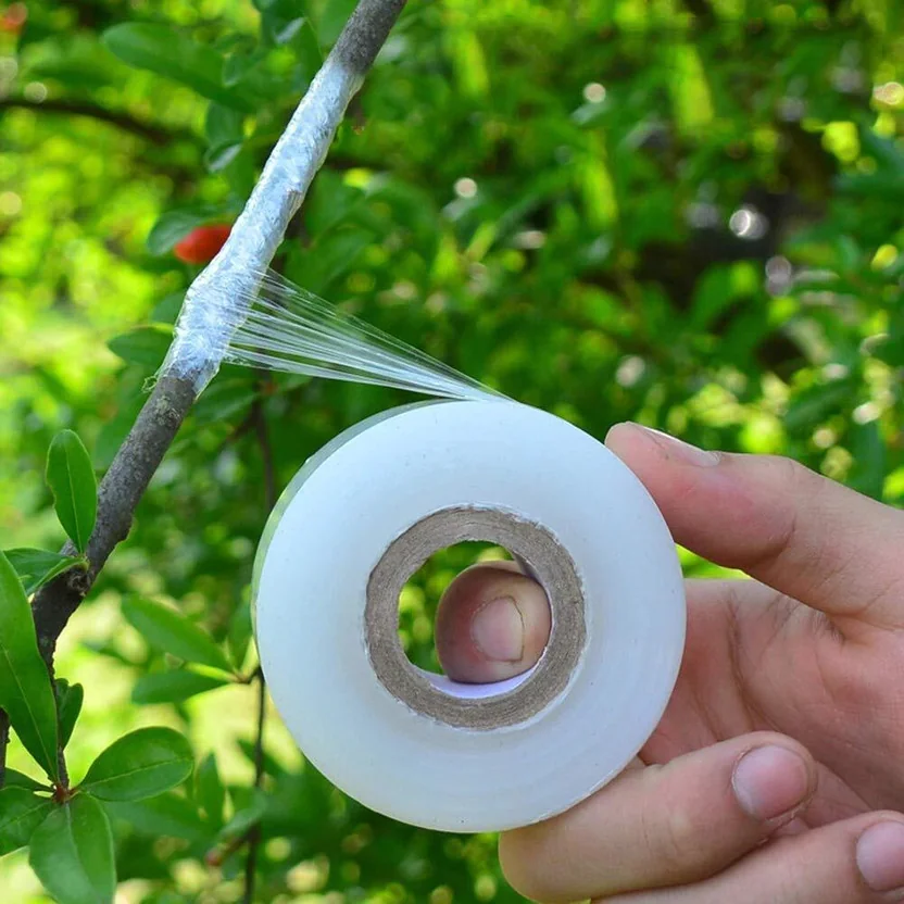 Mplus Grafting Tape 1 inch x 100 Meter for Nursery and ...