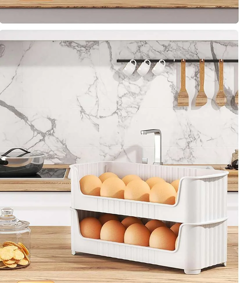 sampware Plastic Egg Container  - 1.5 dozen - Best Price ₹128 at Shopsy