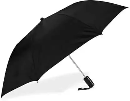Ephemeral Z Black Umbrella For Men And Women | Windproof Travel 2Fold Umbrella For Rain | Manual Open And Close Umbrella Suitable For 1 Adult - Best Price ₹127 at Amazon