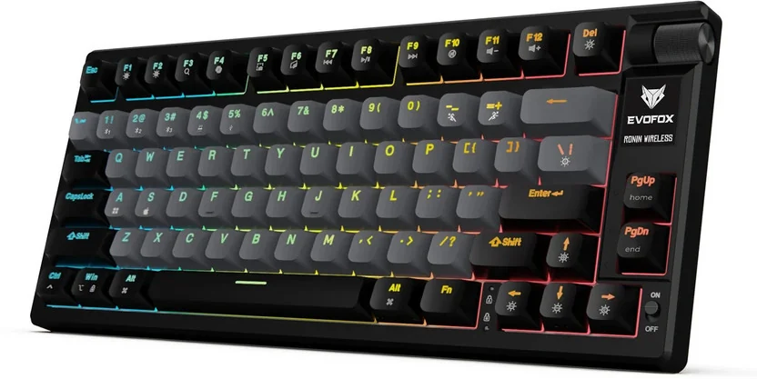 EVOFOX Ronin TKL RGB Mechanical Wireless Tenkeyless Gam...