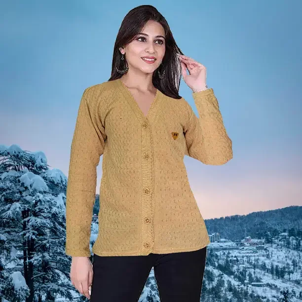 FUTUREGEMS Women Solid V Neck Brown Sweater - Best Price ₹297 at Flipkart
