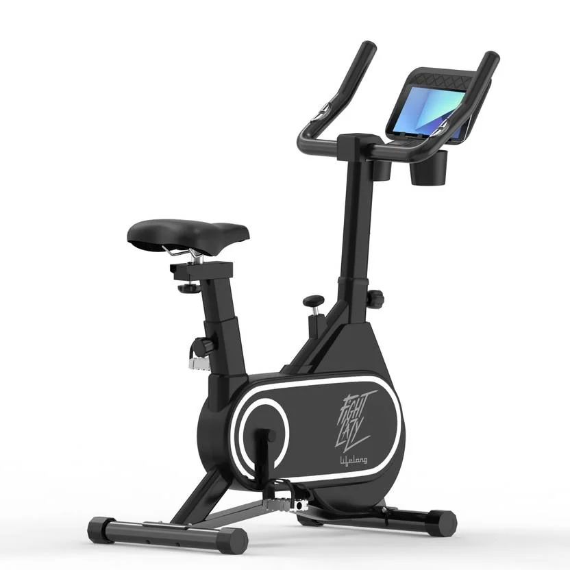 Lifelong LLSBB50 Fit Pro Spin Fitness Upright Stationary Exercise Bike  (Black)