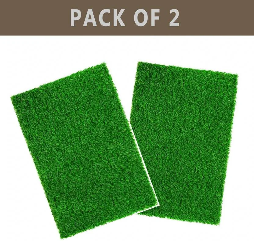 Worthful Creation PP (Polypropylene) Door Mat  (Green, Medium, Pack of 2) - Best Price ₹107 at Flipkart