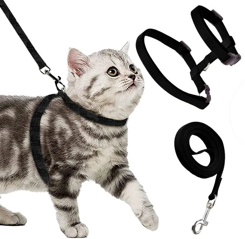 Buraq Black Cat Harness Full Body With Leash Set - For Walking | Escape Proof Cat Buckle Harness  (Medium, BLACK)